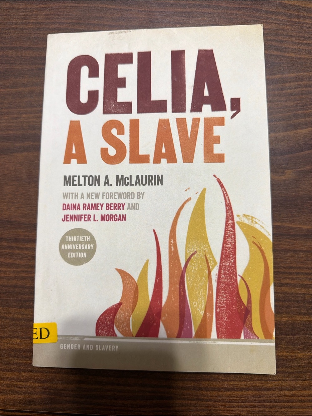 Celia, A Slave - White/Orange Paperback Book